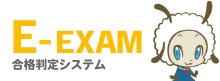 E-EXAM