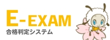 E-EXAM