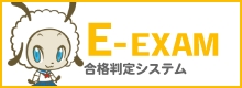 E-EXAM