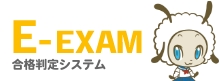 E-EXAM