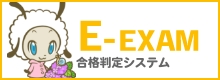 E-EXAM