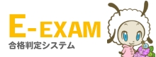 E-EXAM