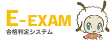 E-EXAM