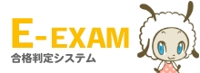 E-EXAM