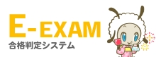 E-EXAM