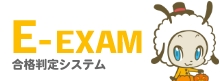 E-EXAM