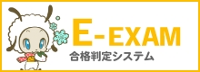 E-EXAM