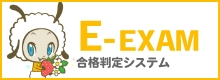 E-EXAM