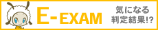 E-EXAM