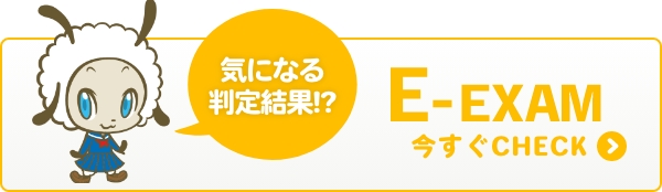 E-EXAM