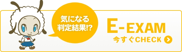 E-EXAM