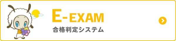 E-exam