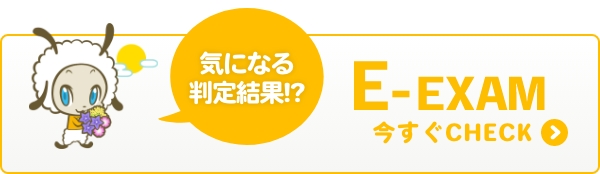 E-EXAM