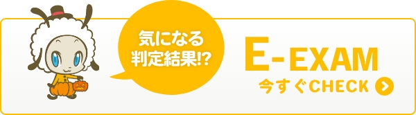 E-EXAM