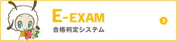 E-exam